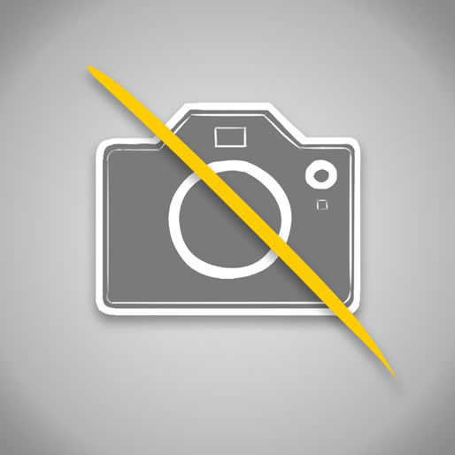 pila de fotografía 123 BL.1, alta capacidad, larga duración, ideal para cámaras y dispositivos fotográficos.